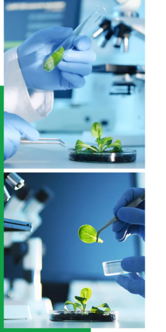 創(chuàng)新驅(qū)動(dòng)，智領(lǐng)未來(lái)——我們的企業(yè)簡(jiǎn)介